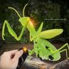 Infrared Remote Control Simulation Coyote; Electric Halloween Prank Children's Toys